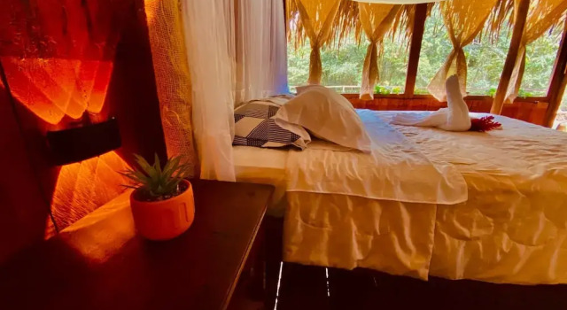 Люкс Superior Cuyabeno River Lodge