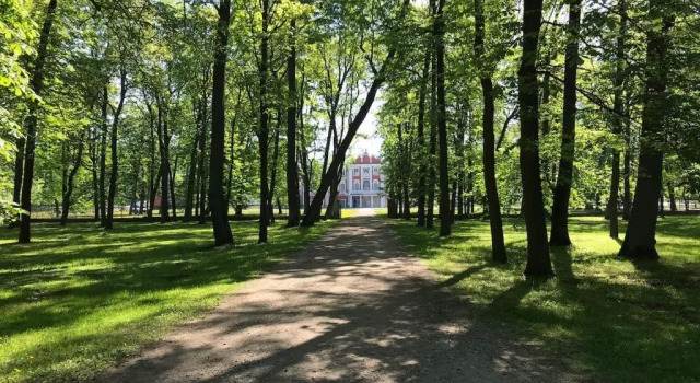 Апартаменты 1Bdr Apartment near Kadriorg Swan Pond