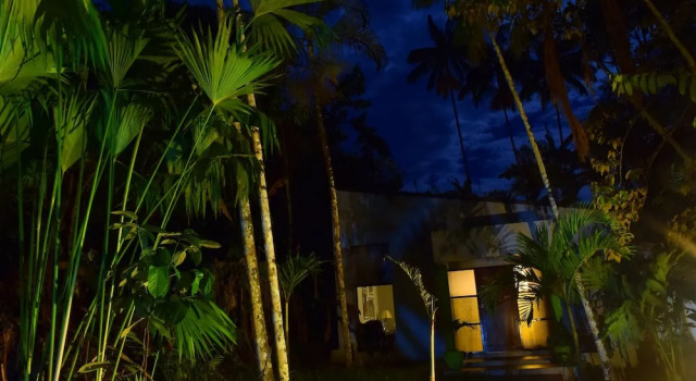 Люкс Deluxe Ceiba Tops Lodge