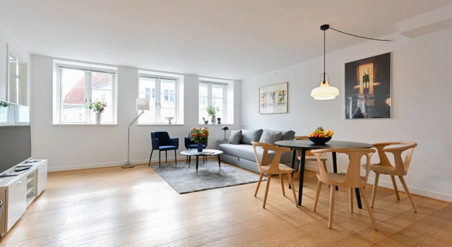 Beautiful 1 -bedroom Apartment in the Building From 1734 in Heart of Copenhagen