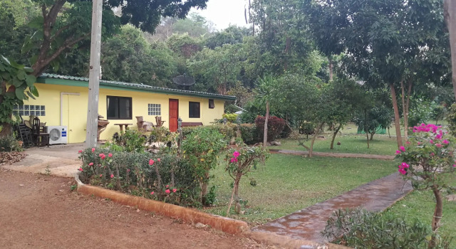 Eden Garden