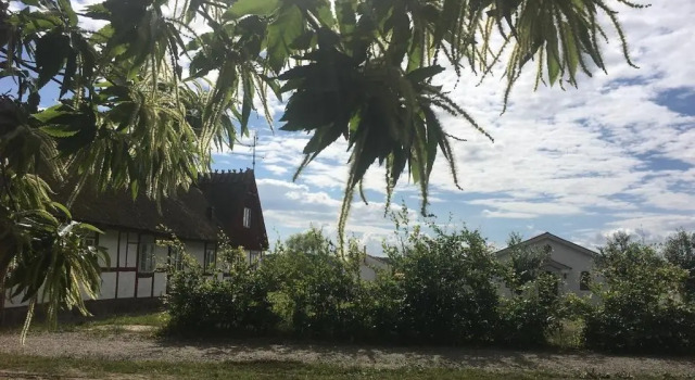 Kastanjegården på Stenshuvud, Boek Hotel Kivik Osterlen