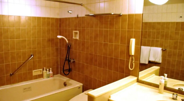 Трёхместный номер Executive Hotel Nikko Narita