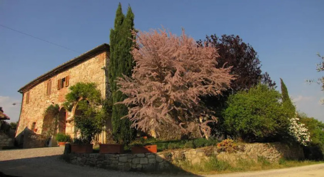 Podere Santa Cristina, Buchen Sie Hotel Gaiole in Chianti Chianti
