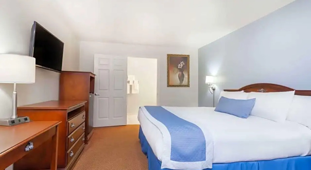 Номер Standard OYO Hampton South Carolina Hwy 278