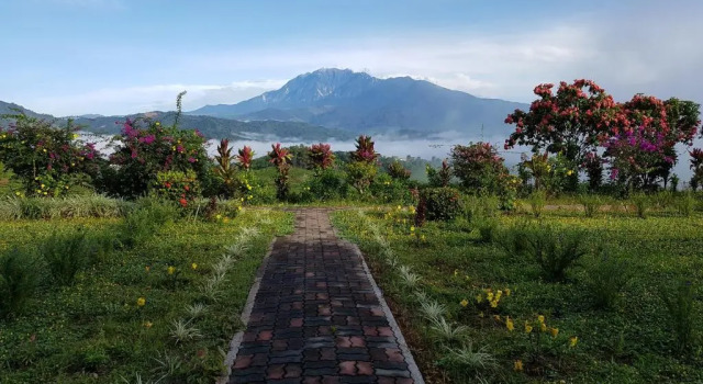 Бунгало Sabah Tea Resort