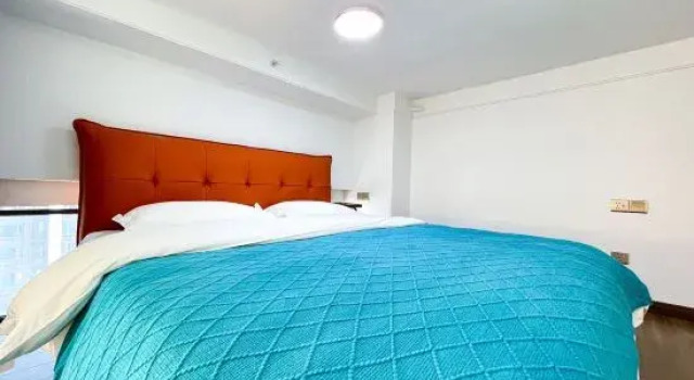 Люкс Luxury Fuyu ForYou Homestay (North Railway Station Southwest Jiaotong University)