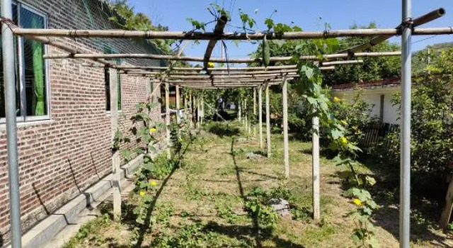 Yingde Fenglin Moke Homestay, Rezervasyon Otel Guangdong otoparklı oteller, Otopark