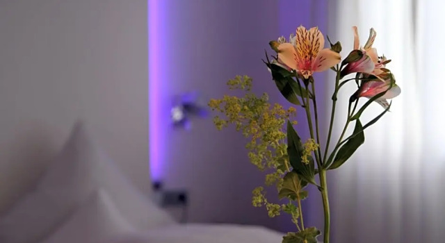 Номер Superior Hotel am Main