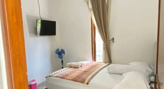 ZG Home Solo