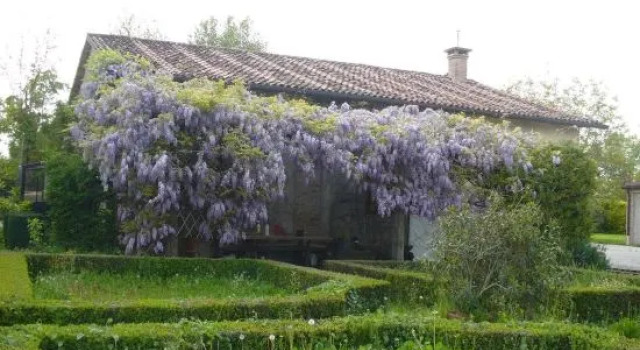 La Corte I Oca, Забронировать Отель Монселиче Euganean Hills