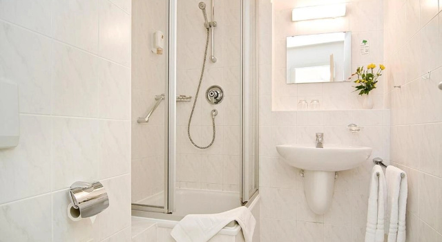 Одноместный номер Standard Hotel Haus Linden