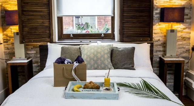 Номер Standard The Cow Hollow Hotel