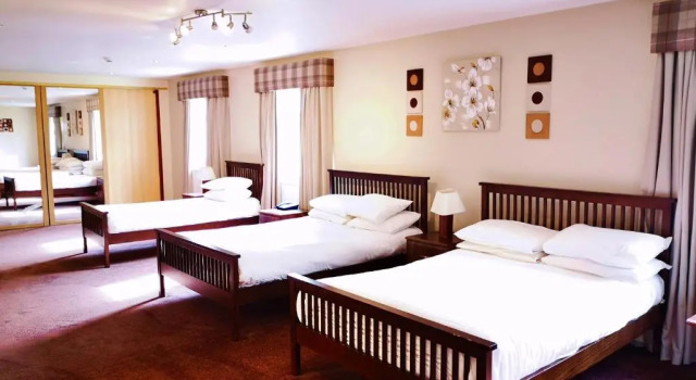 Номер Deluxe King Robert Hotel