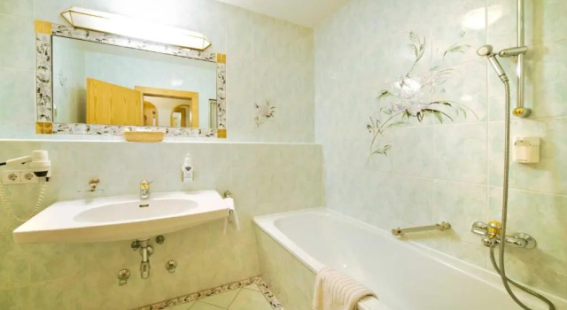 Двухместный номер Standard Alpenbad Hotel Hohenhaus