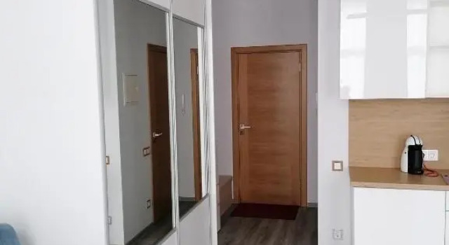 Palm apartment studio Riga, Book Lejlighed Dreilini Stopini Municipality