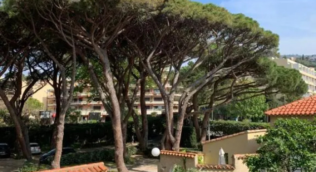 Номер Standard Hôtel Beau Rivage