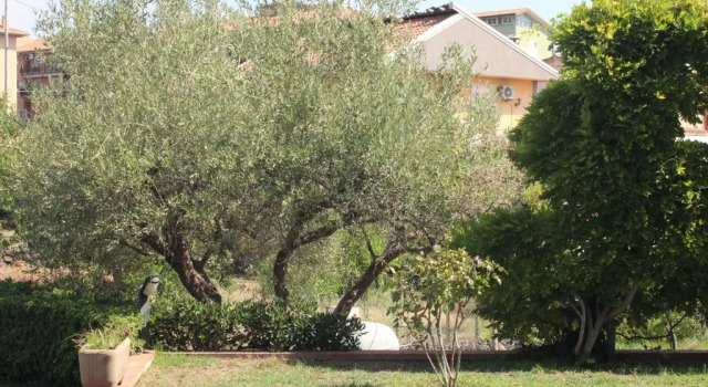 Апартаменты с 3 комнатами Villa Sicilia Apartment