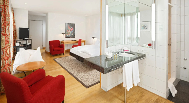 Студия Comfort Hotel Baslertor