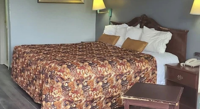 Номер Economy Palmetto Inn