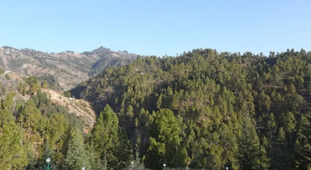 Tathastu Resort by OYO Rooms, Rezervovat Lázně / Resort Nainital Uttarakhand