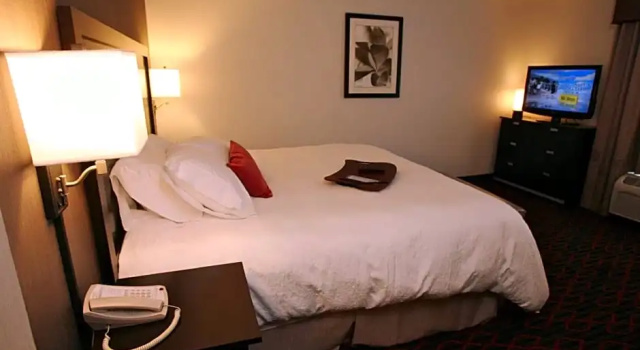 Run of House Hampton Inn & Suites by Hilton Red Deer