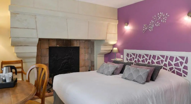 Двухместный номер Superior Logis Manoir De La Giraudière