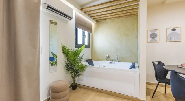 Студия Deluxe с балконом Raise Thiseio Stylish Living