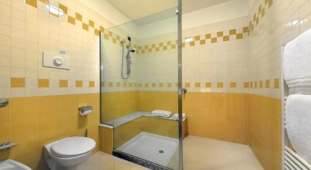 Номер Standard Hotel Motel Sporting