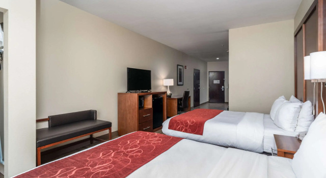 Четырёхместный люкс Comfort Suites University
