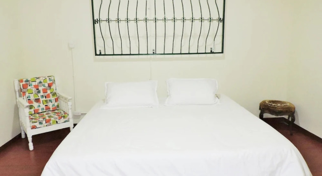 Номер Standard Golden Frog Manizales