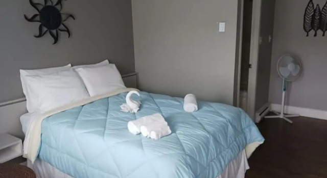 Одноместный номер Standard Motel du Rosier