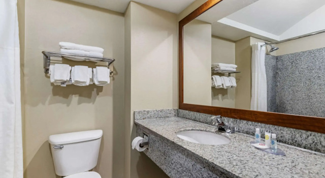 Двухместный люкс Comfort Inn & Suites Seguin