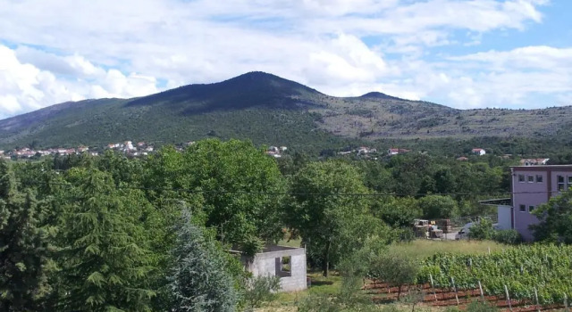 Номер Economy Apartments & Rooms CASA GAGRO