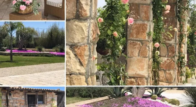 Mythos Holidays  Events, Book Hotel Hotels in Sicily with a Pool, Swimming Pool