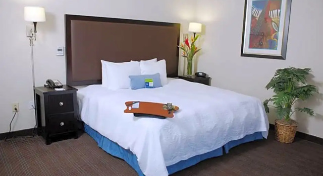 Двухместный люкс с балконом Hampton Inn & Suites Nashville-Downtown