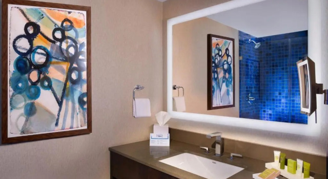 Двухместный номер с видом на город Hilton Austin