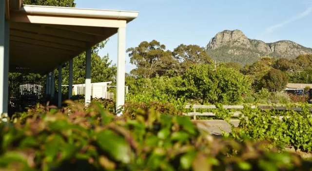 Camera Standard Grampians View B&B