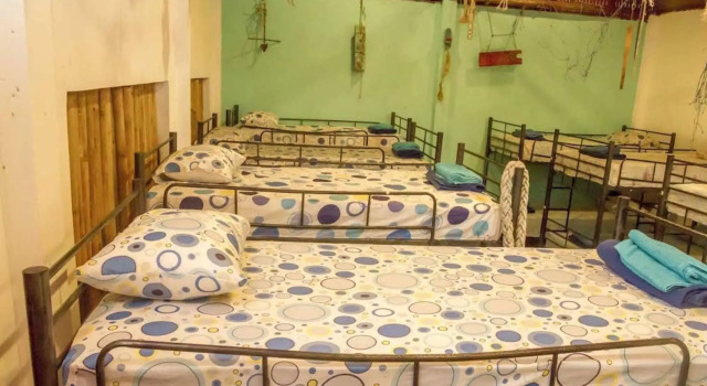 Dancing Elephant Beach Club - Hostel