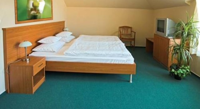 Promedicum Panzio, Rezervovat Hotel Veszprém Central Transdanubia