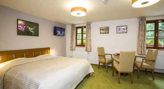 Hotýlek pod smrkem, Reservar Hotel Hotéis em Harrachov com piscina, Piscina