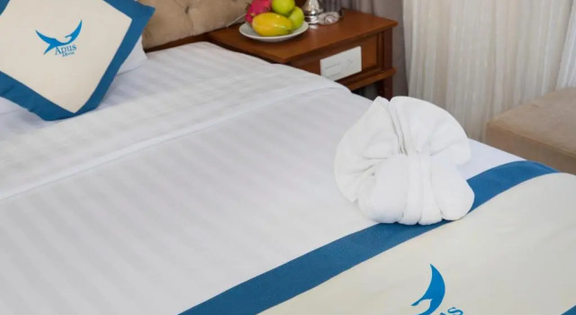 Двухместный номер Deluxe с видом на город Apus Hotel