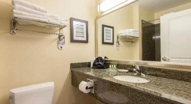 Двухместный номер Standard c 1 комнатой Holiday Inn Scottsdale North- Airpark by IHG
