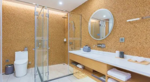 Люкс Deluxe Julong Town Hotel