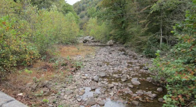 Dry River Cabin, Забронировать Отель Национальный лес им. Джорджа Вашингтона Виргиния
