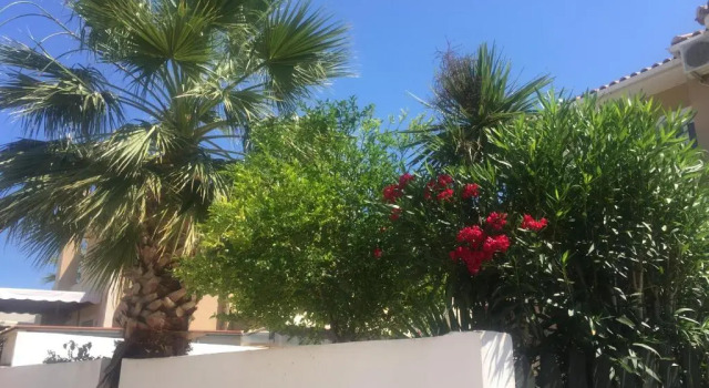 Вилла с 2 комнатами Olivegrove Villa - Nestled in Olive Trees with Private Pool, by ZanteWize