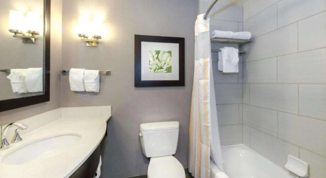 Четырёхместный номер Standard Hilton Garden Inn Raleigh Cary