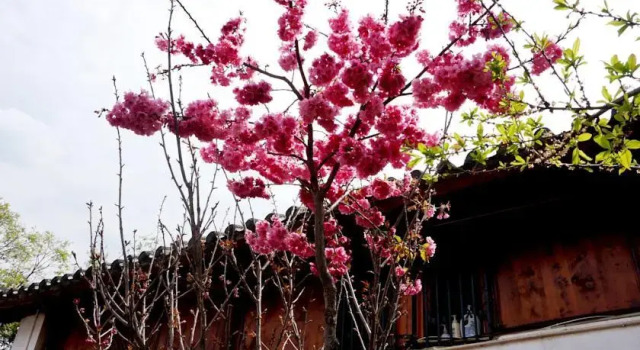 Lijiang Happy Inn, Забронировать Отель Лицзян Юньнань, рядом с Улица Сквер-стрит Древнего города Даянь