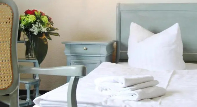 Номер Standard Wagners Hotel im Thüringer Wald