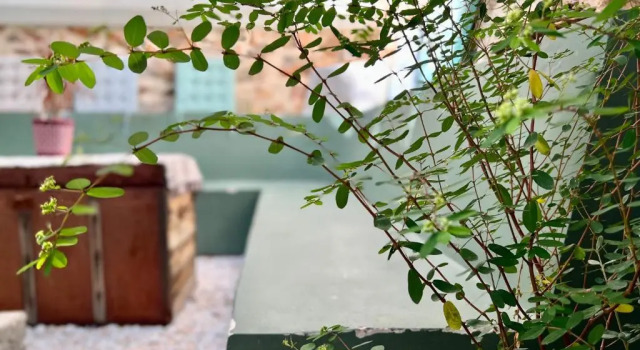 Апартаменты с 2 комнатами Five Brand New Boutique Apartments Central Athens